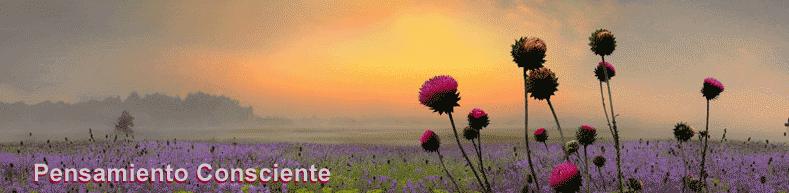 20120510232708-pensamientoconsciente.jpg